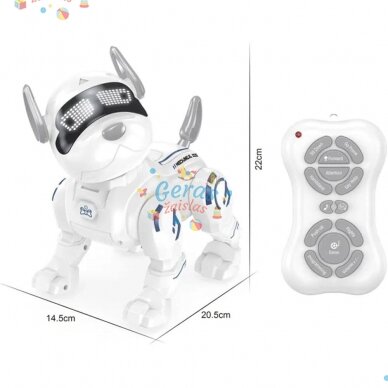 Išmamusis šuo robotas su RC Išmamusis šuo robotas su RC