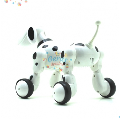 Išmanus šuo robotas 8