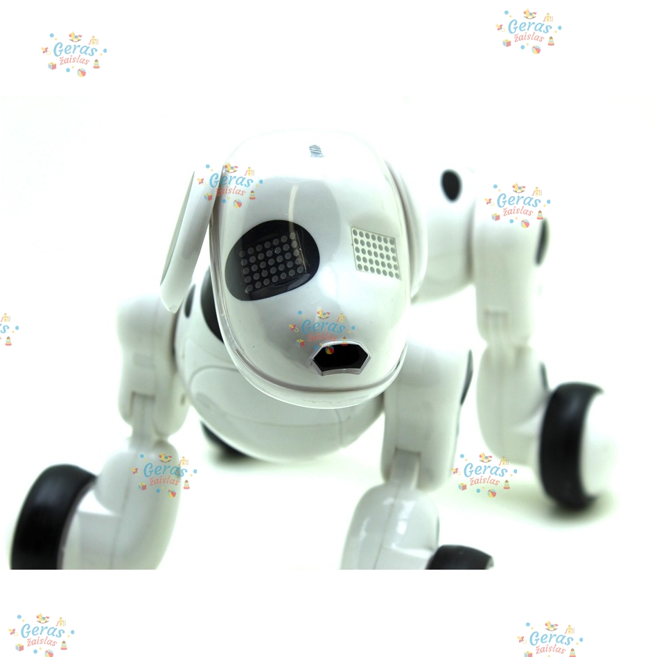 Išmanus šuo robotas 10 Išmanus šuo robotas 10