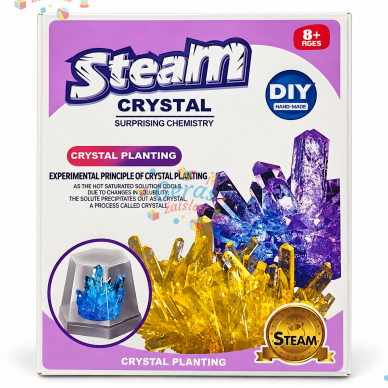 Kristalų auginimo rinkinys vaikams „Steam Crystal“, 4 užuomazgos 1