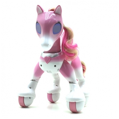 Ponis valdomas su pultu 9 Ponis valdomas su pultu 9