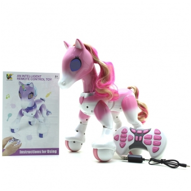 Ponis valdomas su pultu 1 Ponis valdomas su pultu 1