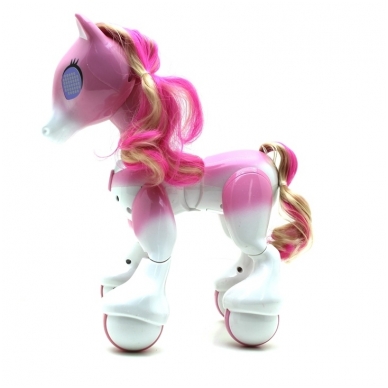 Ponis valdomas su pultu 7 Ponis valdomas su pultu 7