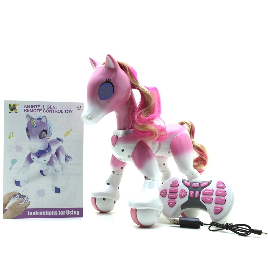 Ponis valdomas su pultu 1