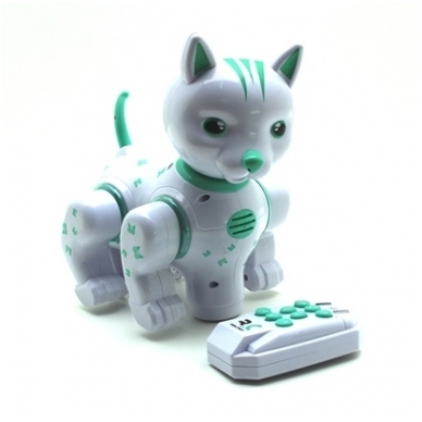 Robotas Katė su Pultu