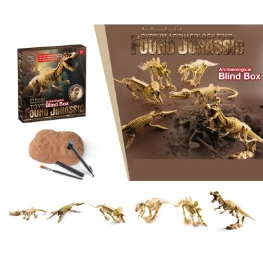 Žaislinis Archeologijos kasinėjimų rinkinys Dinozauro skeletas Žaislinis Archeologijos kasinėjimų rinkinys Dinozauro skeletas